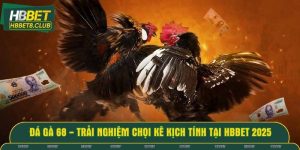 Đá gà 68