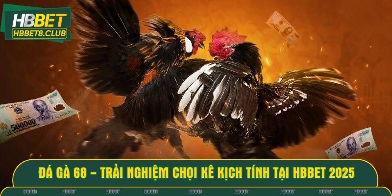 Đá gà 68