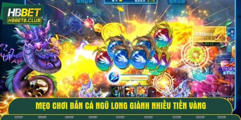 Những bí kíp săn cá ngũ long từ cao thủ