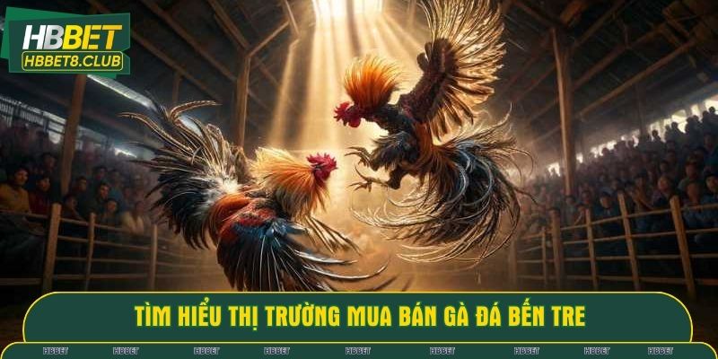 Tìm hiểu thị trường mua bán gà đá Bến Tre